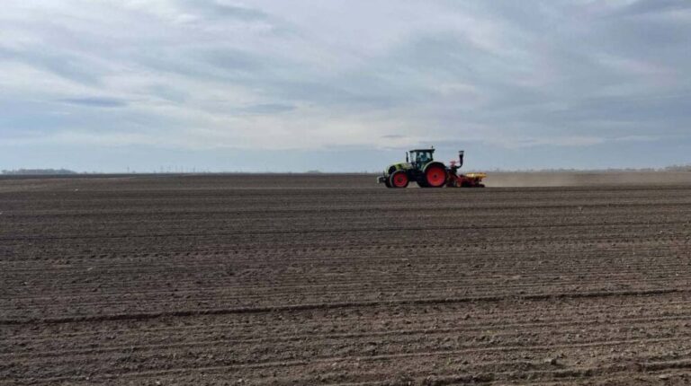 Србија и Холандија – Пољопривредна поређења