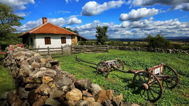 Српско село – Бразда сачувала државу